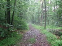 Hiking Trail in Hickory Run State Park