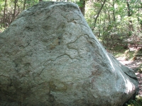 Bear Petroglyph at Ward Pound Ridge