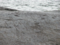 Petroglyphs in Maine