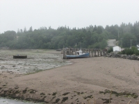 Fishing boats at low tide