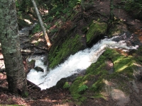 Small Waterfall on Coastal Trail
