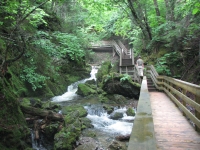 Fuller Falls Trail