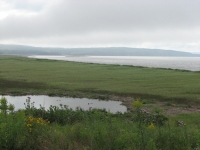 Marsh along the shore in Nova Scotia