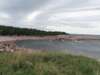 Pink rocks along the shore