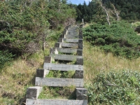 Stairs on the trail