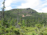 The Alexander Murray Trail climbs that hill