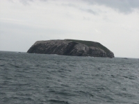Island in the Witless Bay Bird Sanctuary