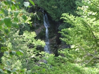 Waterfall on the trail