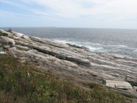 Coast near Booth Bay