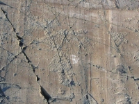 Machias Bay Petroglyphs 