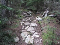 Rough trail up Schoonic Head 