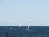 Sailboats off Cape Ann