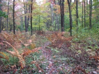 Trail in PA