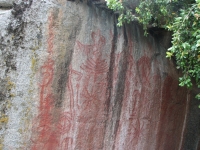 Pictographs at Sequoia